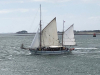 Morbihan, Hein