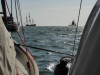 Morbihan, Hein