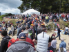 Morbihan, Hein