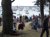 Morbihan, Hein