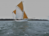 Morbihan, Hein