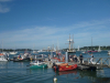 Morbihan, foto Eliane