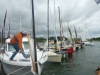 Morbihan, foto Eliane