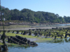 Morbihan, foto Eliane