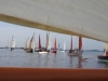 DSCN8441