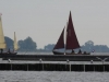 DSCN8486