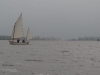 pays bas 2016 (207)