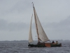DSCN6575