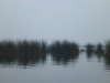 P1000067