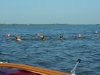 DSCN0790